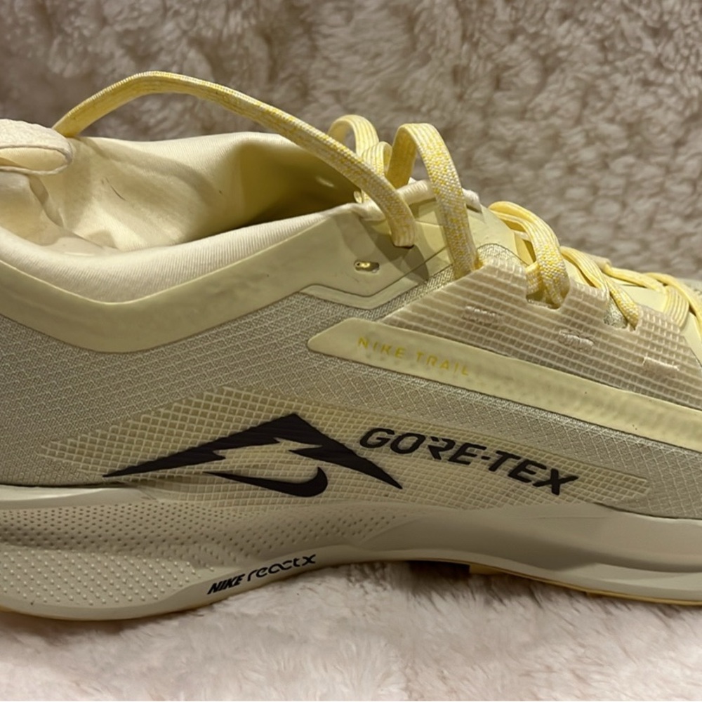 Nike Pegasus Trail Runner Gore-Tex - Picture 3 of 6